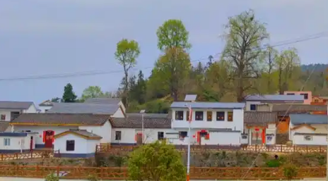 中國(guó)移動(dòng)架起數(shù)字橋照亮大畈村振興路