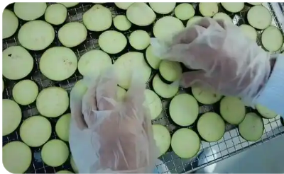 黑龍江拜泉：立足生態(tài)優(yōu)勢推動農(nóng)業(yè)產(chǎn)業(yè)提質增效