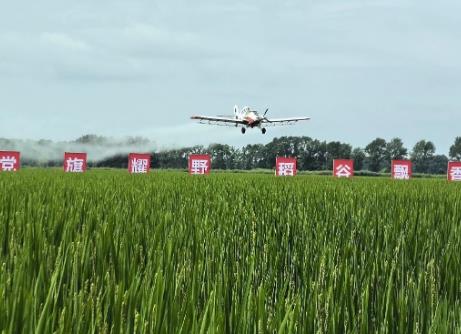 黑龍江：萬企興萬村 走出村企共興路
