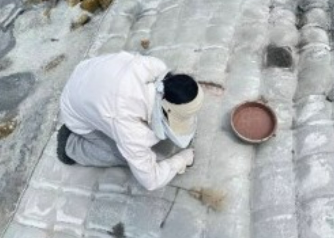 見微知筑團隊發(fā)起島礁護岸工程的綠色“革命”