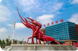 入選全國(guó)“IP+消費(fèi)”典型案例 湖北潛江龍蝦：嘬出來(lái)的百億大品牌