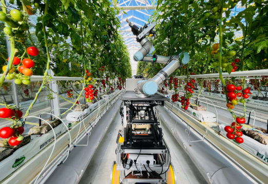 全球首臺全流程智能育種機器人亮相