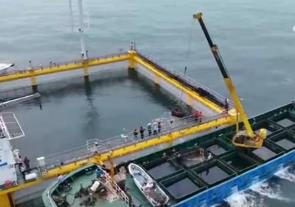 廣東：從種業(yè)到裝備 打造現(xiàn)代化海洋牧場(chǎng)全產(chǎn)業(yè)鏈