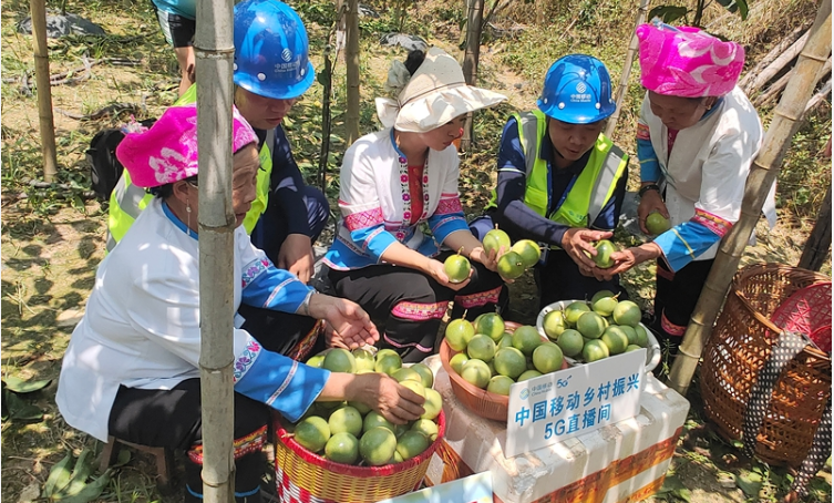 從瑤寨到邊境，中國移動(dòng)十年電信普遍服務(wù)助城鄉(xiāng)蝶變