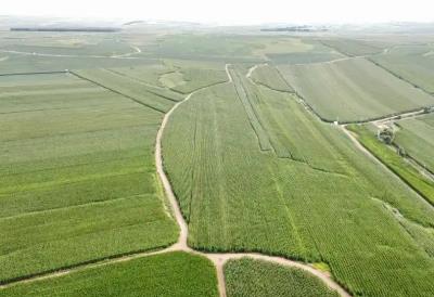 內(nèi)蒙古：保護性耕作穩(wěn)步擴面