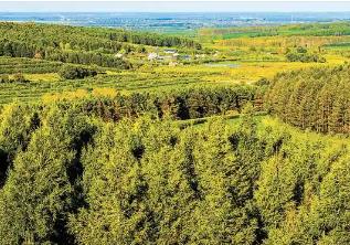 黑龍江牡丹江：營(yíng)商沃土培育“產(chǎn)業(yè)森林”