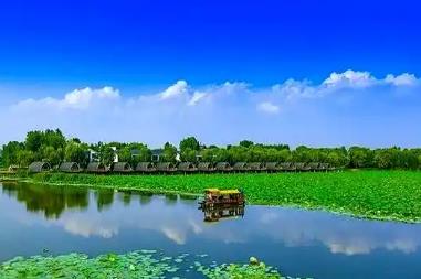 從“漁舟唱晚”到“水陸空”全景體驗山東微山縣：“中國荷都”讓生態(tài)資源“火”起來