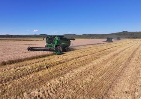 黑龍江省呼瑪縣4.35萬(wàn)畝寒地小麥?zhǔn)崭罱咏猜?></a></div><!-- img end -->	<div   id=