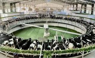 呼和浩特市以大產(chǎn)業(yè)大園區(qū)引領(lǐng)農(nóng)牧業(yè)變革