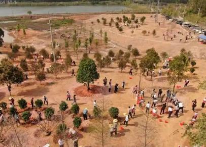 廣東建立30個省級“互聯(lián)網(wǎng)+全民義務(wù)植樹”基地