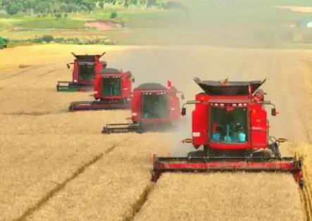 黑龍江省嫩江市：以多維優(yōu)勢(shì)書(shū)寫(xiě)縣域振興新答卷