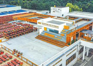 四川如何玩轉(zhuǎn)“工業(yè)＋文旅”？