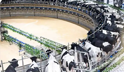 內(nèi)蒙古呼和浩特建成乳業(yè)行業(yè)級(jí)工業(yè)互聯(lián)網(wǎng)平臺(tái)