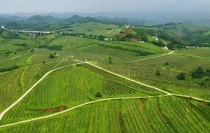 河南三門峽市：崤函沃野繪“豐”景