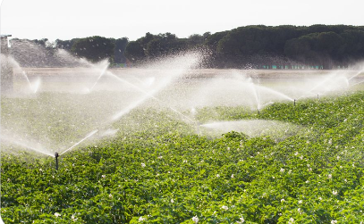 我國耕地灌溉面積達10.86億畝 生產全國超80%糧食