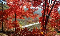 “五色”秋天各具特色 吉林市邀客打卡別樣雙節(jié)