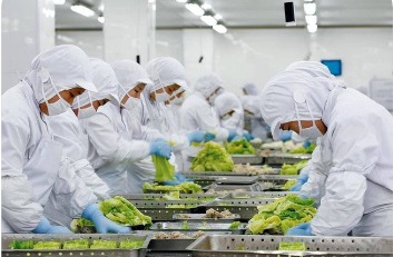 政策定調 標準護航 認識提升  預制菜產業(yè)高質量發(fā)展當跨“三重門”