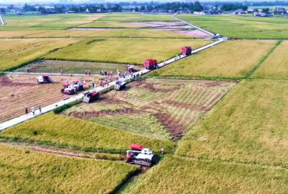 打造更高水平“天府糧倉(cāng)”——四川加快推進(jìn)農(nóng)業(yè)現(xiàn)代化觀察