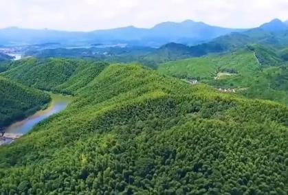 青山成了“金山”！我國(guó)林草產(chǎn)業(yè)年產(chǎn)值突破10萬(wàn)億元