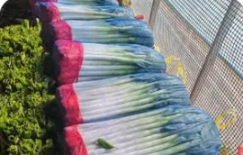 小縣城如何變身“世界菜籃子”——來(lái)自山東濰坊安丘市的調(diào)查