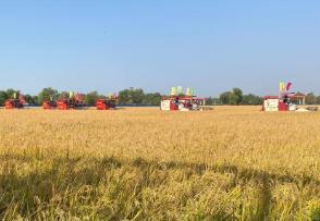 黑龍江智能秋收跑出“加速度” 已收完六成14455萬(wàn)畝