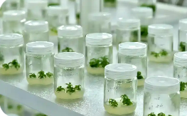 我國(guó)化妝品原料創(chuàng)新邁入多維賦能新階段