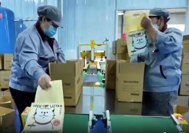 全球“喵星人”愛(ài)寧城——探訪“中國(guó)貓砂之鄉(xiāng)”