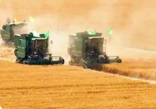 內(nèi)蒙古以“科學(xué)儲糧＋智慧監(jiān)測”推動節(jié)糧減損