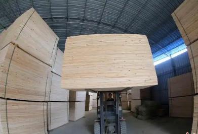 廣西融安發(fā)布19項(xiàng)團(tuán)體標(biāo)準(zhǔn)護(hù)航“中國(guó)香杉板材之鄉(xiāng)”產(chǎn)業(yè)升級(jí)