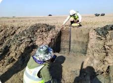 廣東省大力加強(qiáng)專家技術(shù)指導(dǎo) 護(hù)航提高普查成果質(zhì)量