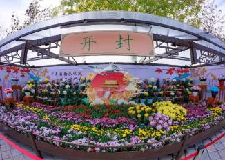 河南開封：以花為媒 激活全域文旅新活力