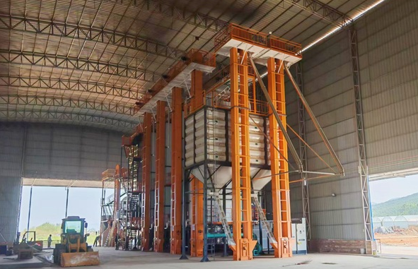 同心筑糧安 廣東省屬企業(yè)以實(shí)干護(hù)好群眾“盤中餐”