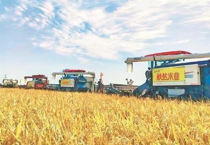 黑龍江：因地制宜施策 秋收顆粒歸倉(cāng)