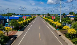 黑龍江嫩江：“一村一品”賦能鄉(xiāng)村振興