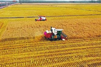 黑龍江省秋收生產(chǎn)基本結(jié)束