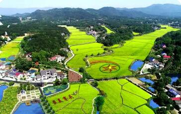 湖南國(guó)資系統(tǒng)精準(zhǔn)施策 全方位助力鄉(xiāng)村振興