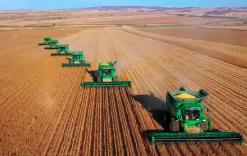 內(nèi)蒙古呼倫貝爾800萬畝玉米開鐮 多項(xiàng)農(nóng)技賦能單產(chǎn)創(chuàng)新高