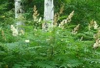 黑龍江省與中國(guó)科學(xué)院共建工作室