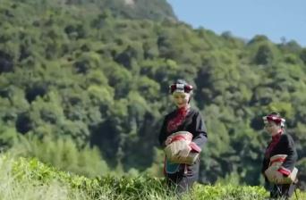 不同地域、獨(dú)具特色、歷史悠久 中國(guó)6項(xiàng)全球重要農(nóng)業(yè)文化遺產(chǎn)獲授牌