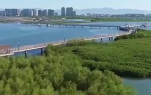 打造從山頂?shù)胶Ｑ蟮纳鷳B(tài)保護(hù)修復(fù)示范區(qū)  廈門(mén)發(fā)布生態(tài)保護(hù)修復(fù)三年行動(dòng)規(guī)劃