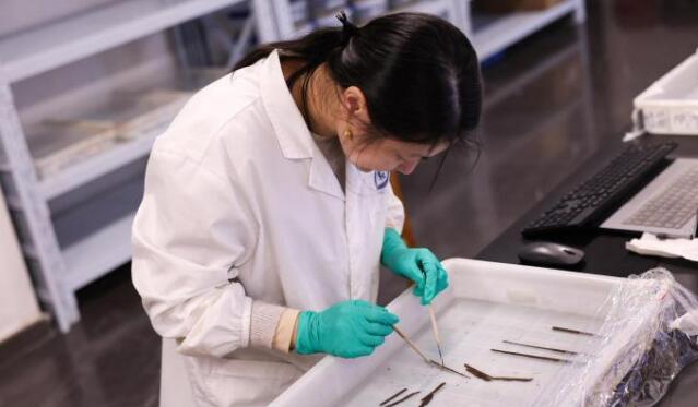 ?；韬钅箍脊虐l(fā)掘領(lǐng)隊(duì)：首次發(fā)現(xiàn)秦漢時(shí)期全本《詩經(jīng)》