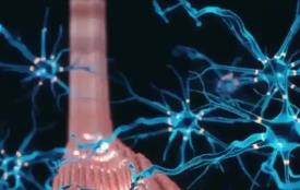 我國科學家在神經(jīng)疾病治療領(lǐng)域取得新突破