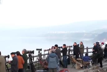 “觀鳥經(jīng)濟”點綠成“金” 賞天鵝、游濕地催熱冬日文旅消費