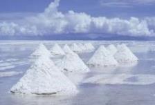 電解液材料價格狂飆