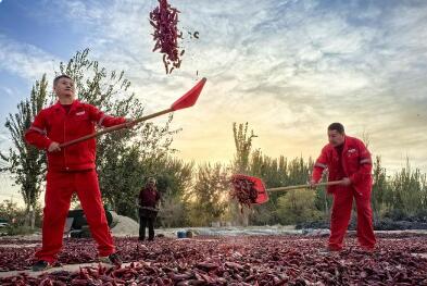 中國石油發(fā)布2024優(yōu)秀社會責(zé)任實踐案例集