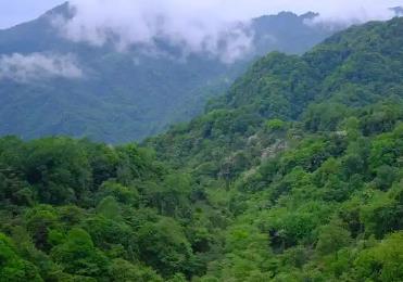 到2030年，四川省林業(yè)綜合產(chǎn)值力爭達(dá)到1萬億元