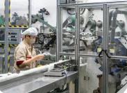 今年前10月福建嬰兒紙尿出口領(lǐng)跑全國 企業(yè)投資擴(kuò)產(chǎn)迎機(jī)遇