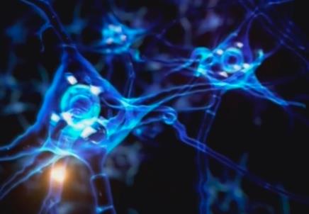 鏈接“政產(chǎn)學(xué)研醫(yī)”各環(huán)節(jié) 腦機(jī)接口產(chǎn)業(yè)創(chuàng)新發(fā)展探路未來(lái)