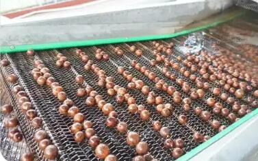 小堅(jiān)果成就大產(chǎn)業(yè) 廣東陽(yáng)春將“綠色家底”轉(zhuǎn)化為發(fā)展優(yōu)勢(shì)