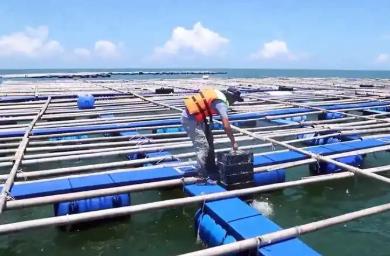 廣東省農(nóng)業(yè)農(nóng)村廳：已累計(jì)建成重力式深水網(wǎng)箱7498個，居全國第一